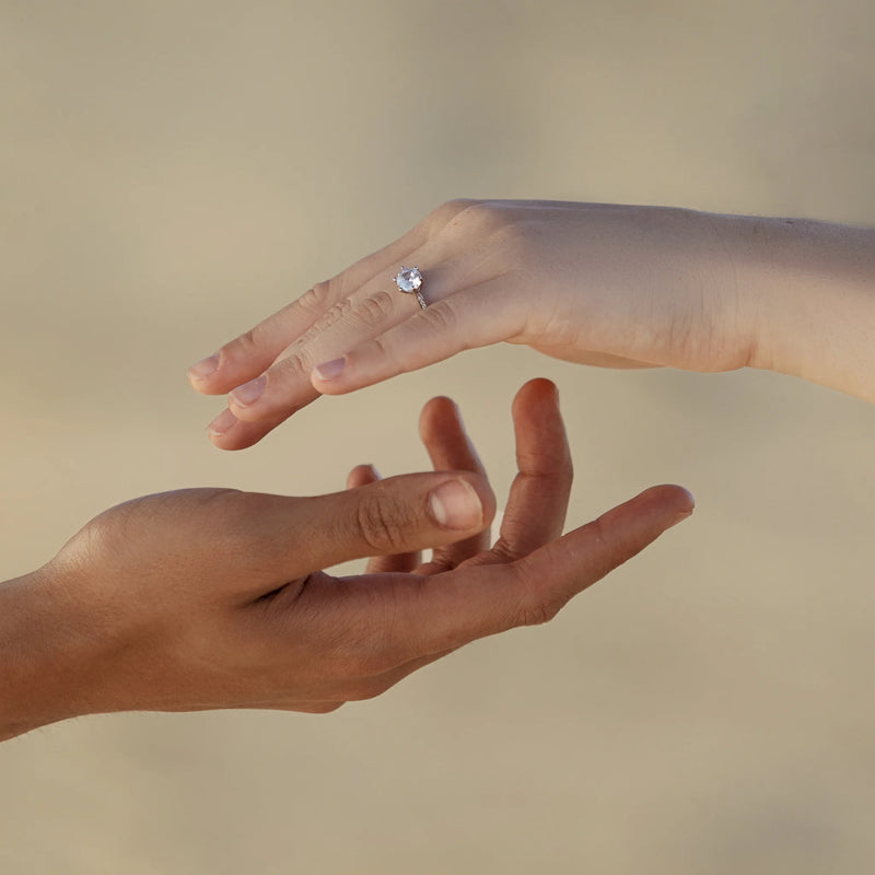 Collection complète