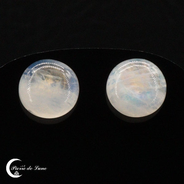 Boucles d'oreilles Pierre de Lune (Lunaria) en argent 925 rhodié